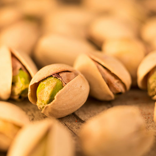 Pistachio orchards in Kerman